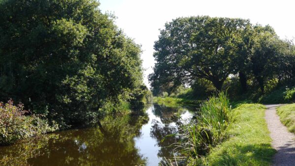 A,Peaceful,Scene,On,The,The,Grand,Western,Canal,Tiverton