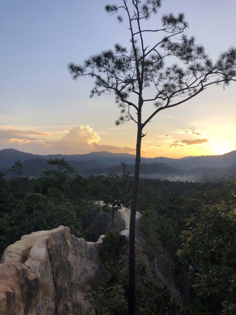 Thailand P2 | Anya Wangsuwan - Marketing Executive