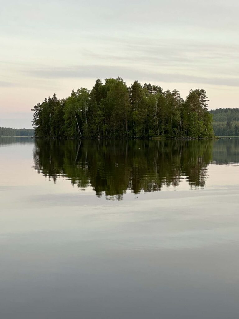 Trees Floating On a Lake | Credit: Keyan O'Donnell - Sales & Account Executive